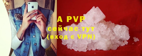 СК Алексин