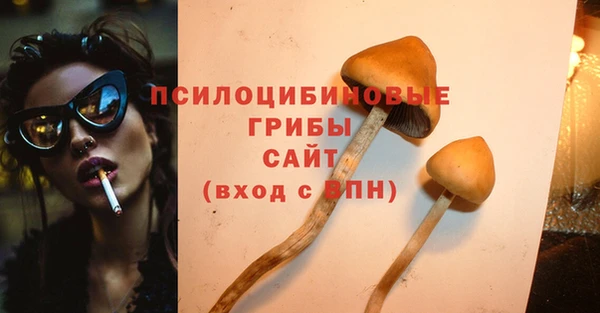 СК Алексин