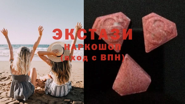 СК Алексин