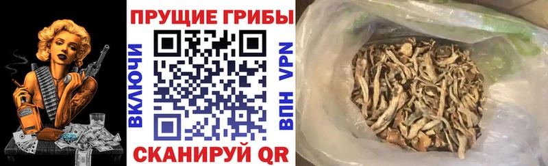 Галлюциногенные грибы мухоморы  мориарти клад  Владимир 