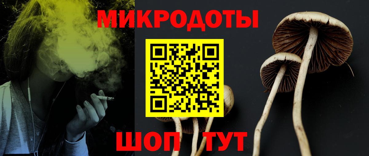 Владимир  Псилоцибиновые грибы Psilocybe  Галлюциногенные грибы Psilocybe  Вход с VPN 